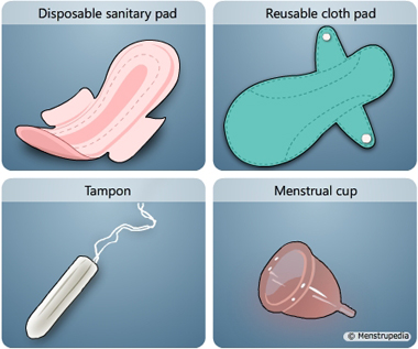 Illustration of disposable sanitary pad, reusable cloth pad, tampon and menstrual cup - Menstrupedia