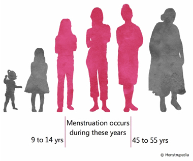 When does menstruation start and stop?