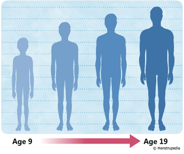 Boys Puberty Development | www.pixshark.com - Images ...