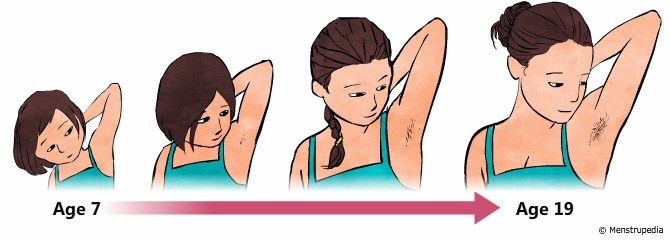 illustration of growth of hair in the armpits during puberty in girls from age 7 to age 19 - Menstrupedia