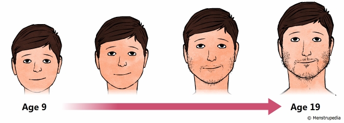 Physical changes during puberty