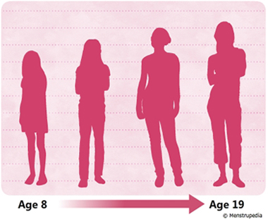 illustration of growth in height during puberty in girls from age 8 to age 19 - Menstrupedia