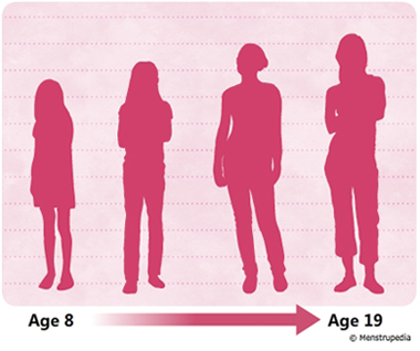 Physical changes that occur during puberty in girls