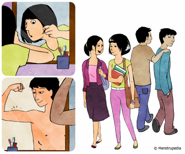 illustration of puberty, an adolescent girl in front of the mirror worried about acne on her face while an adolescent boy looking at a mirror admires a little bulge in his biceps, girl and boy exchanging side glances - Menstrupedia